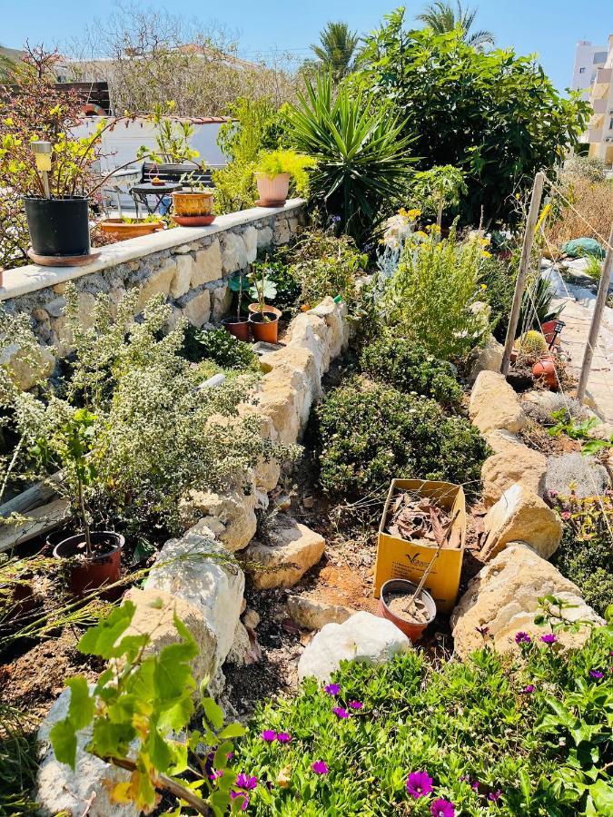 Peaceful Townhouse With Private Pool Near The Sea Lägenhet Paphos Exteriör bild